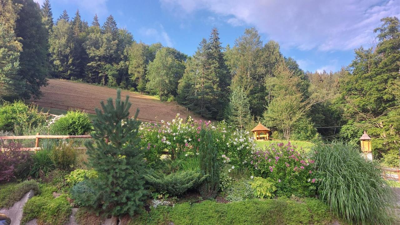 U Vesele Lisky Hotel Hutisko Exterior foto