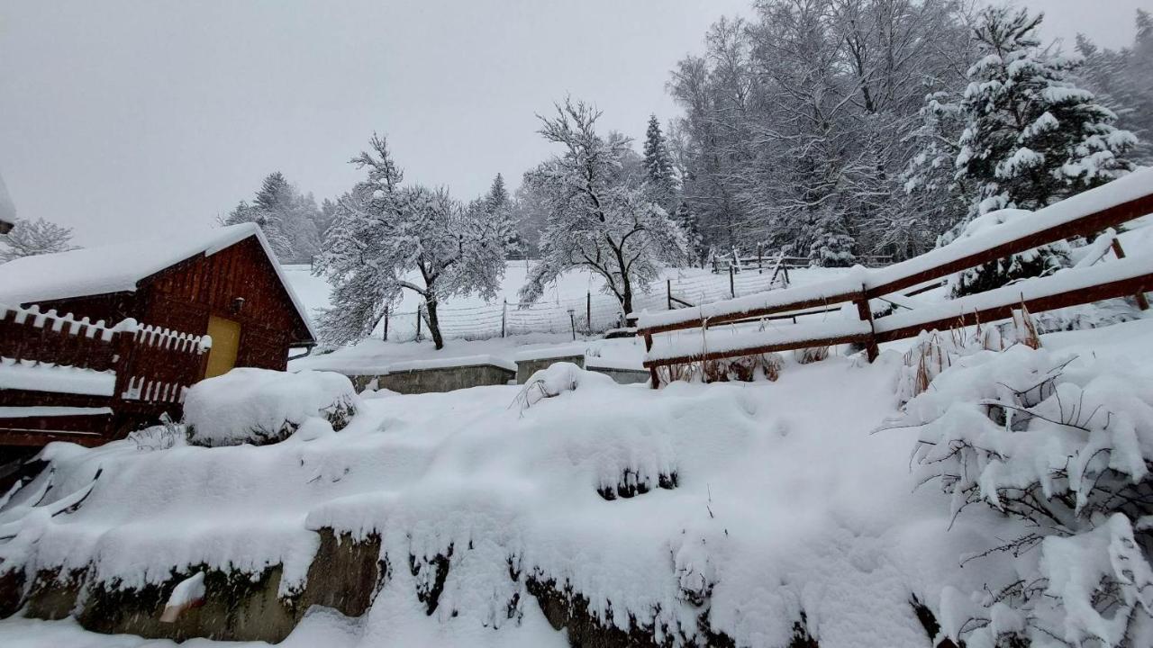U Vesele Lisky Hotel Hutisko Exterior foto