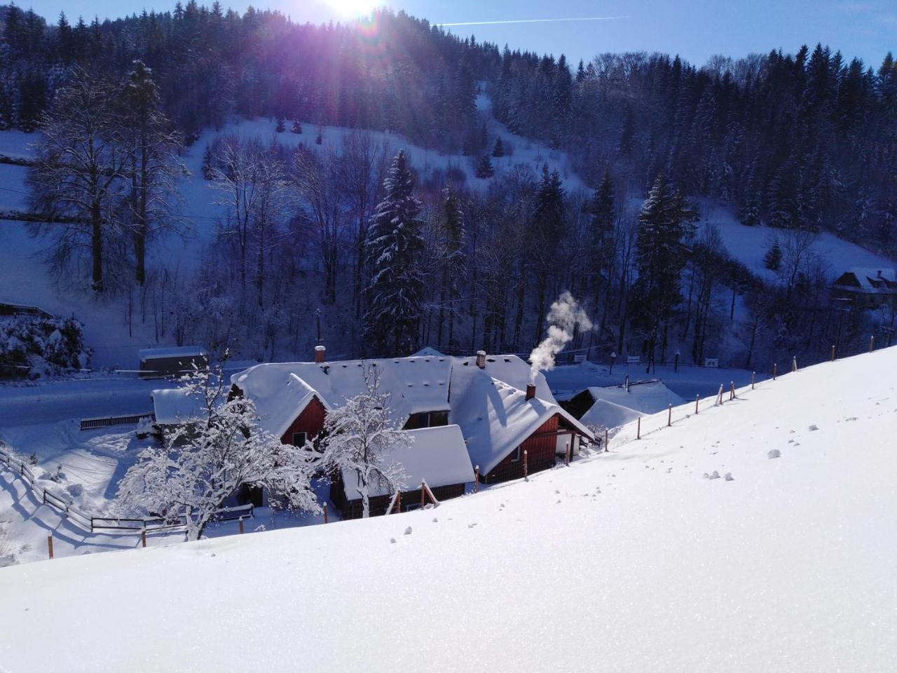 U Vesele Lisky Hotel Hutisko Exterior foto